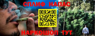 хмурый Гатчина