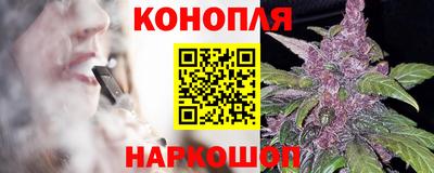хмурый Гатчина