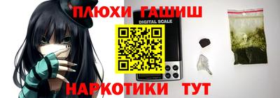 хмурый Гатчина