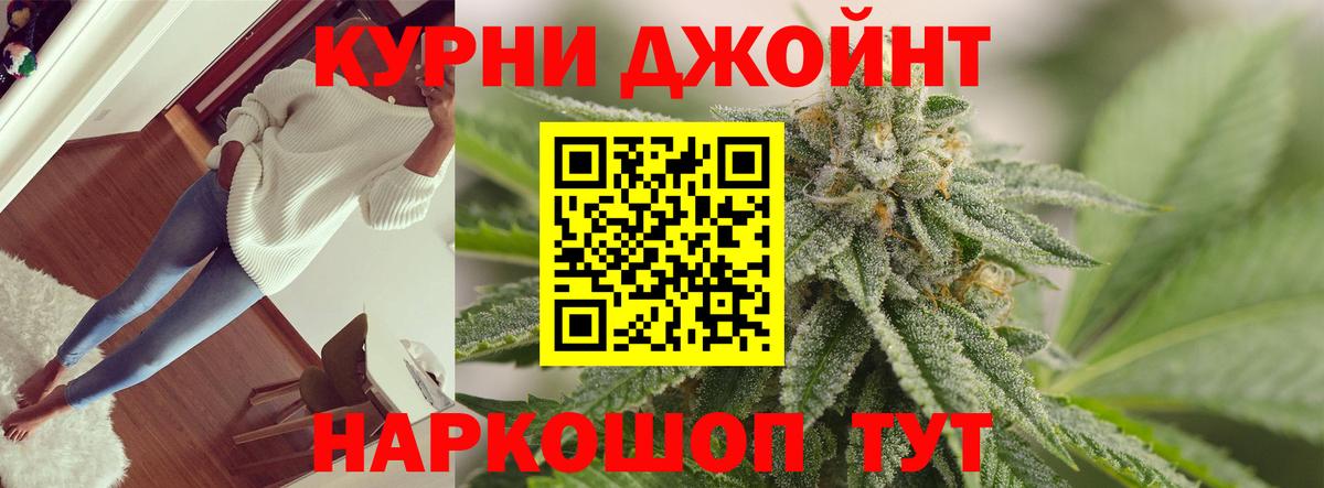 Каннабис сатива Бердск