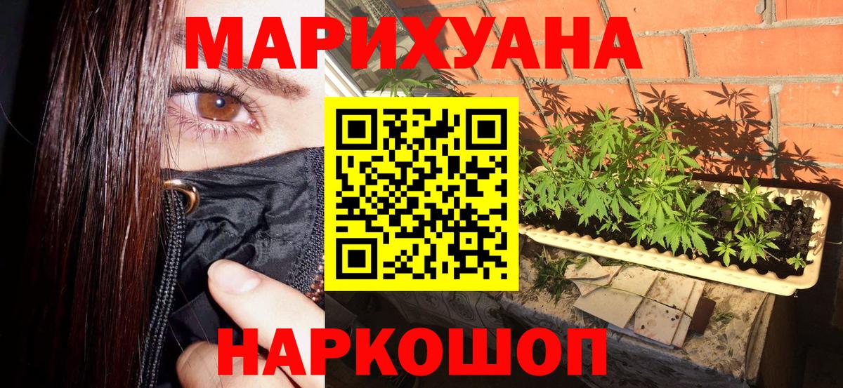 Бердск  Бошки марихуана планчик  Шишки марихуана AK-47  Вход с VPN  Конопля конопля  Каннабис индика 